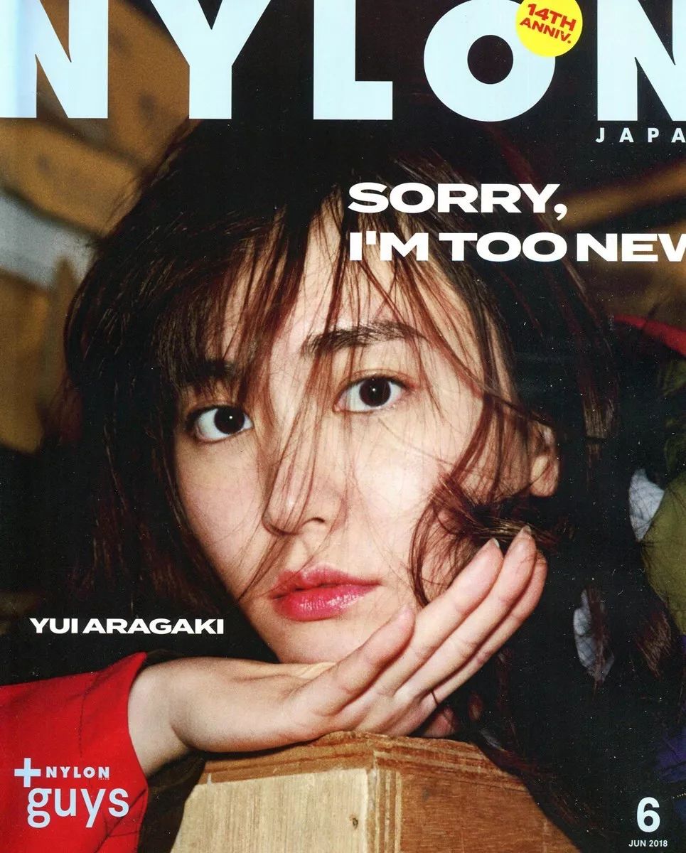 Nylon JP技术革新与未来发展趋势展望