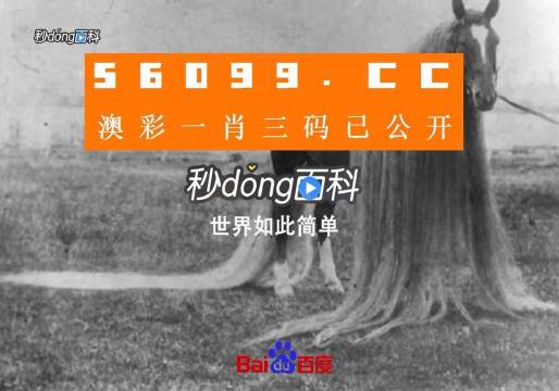 澳门一肖一码一必中一肖同舟前进,实地验证方案策略_储蓄版41.177