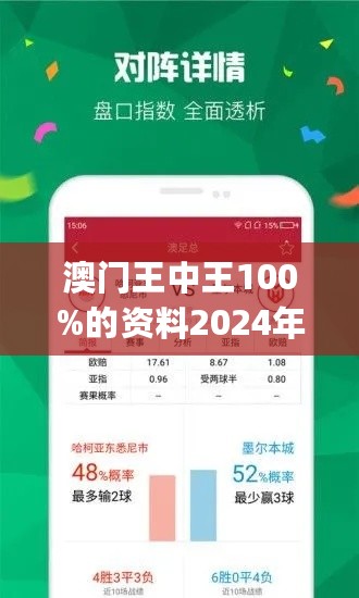 2024年新澳门王中王免费,稳定性设计解析_黄金版82.506