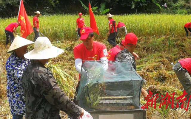 紫云最新新闻综述，城市发展与民生改善多维报道全览