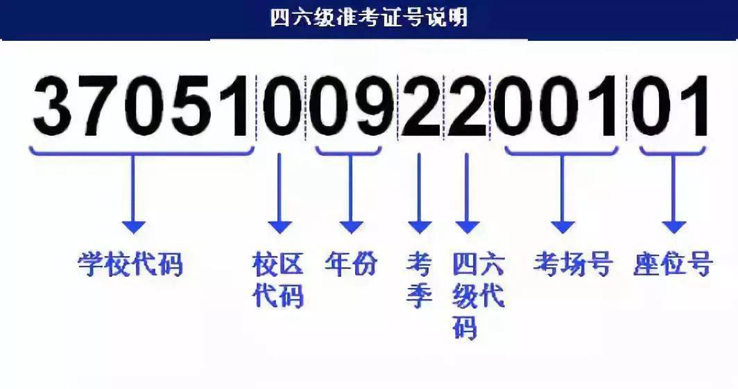 澳门免费权威资料最准的资料,快速设计问题计划_HDR13.500