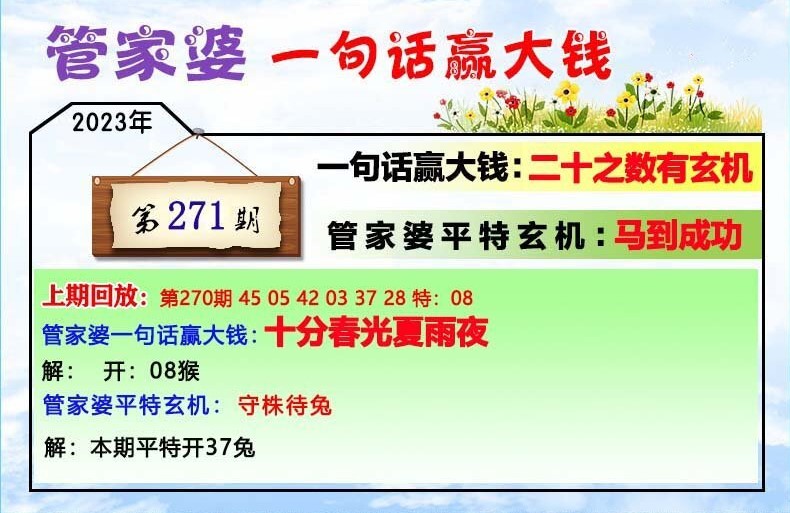 202管家婆一肖一码,时代解析说明_铂金版64.527