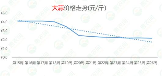 姜价格最新行情解析