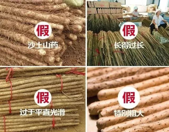 铁棍山药行情最新分析报告