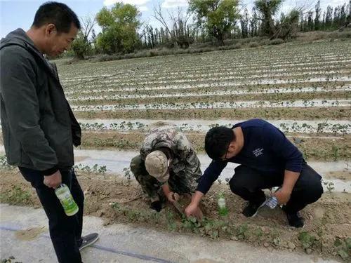 土大力最新菜单，开启美食探索新篇章