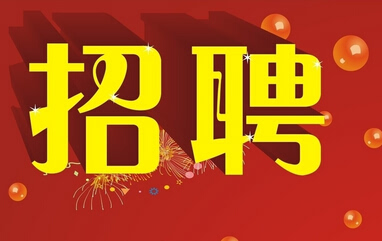 宜家最新招聘动态，构建人才梯队，携手共创美好未来