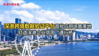 二四六香港全年资料大全,实地验证数据应用_V版23.655