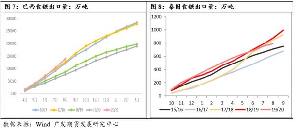 糖价最新动态分析，市场走势与影响因素探讨