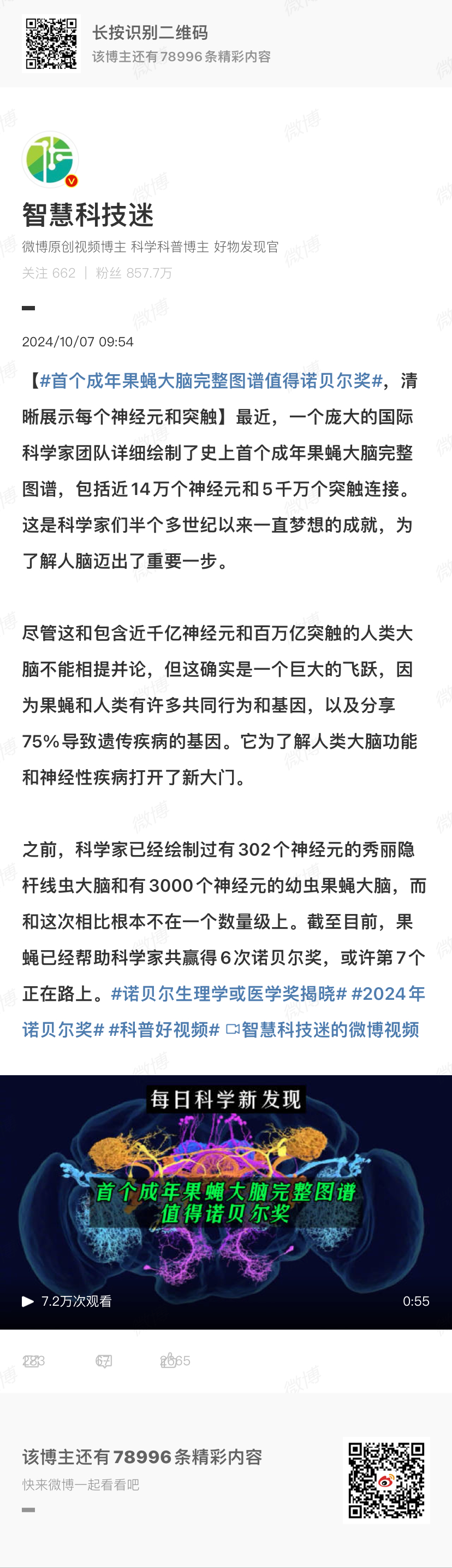 今晚澳门天天开好彩大全,深度数据应用实施_OP29.275