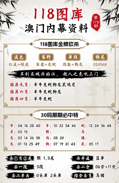 澳门王中王100,精细策略定义探讨_静态版96.400