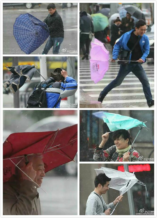 沈阳暴雨最新报道，城市雨情监测与应对举措揭秘