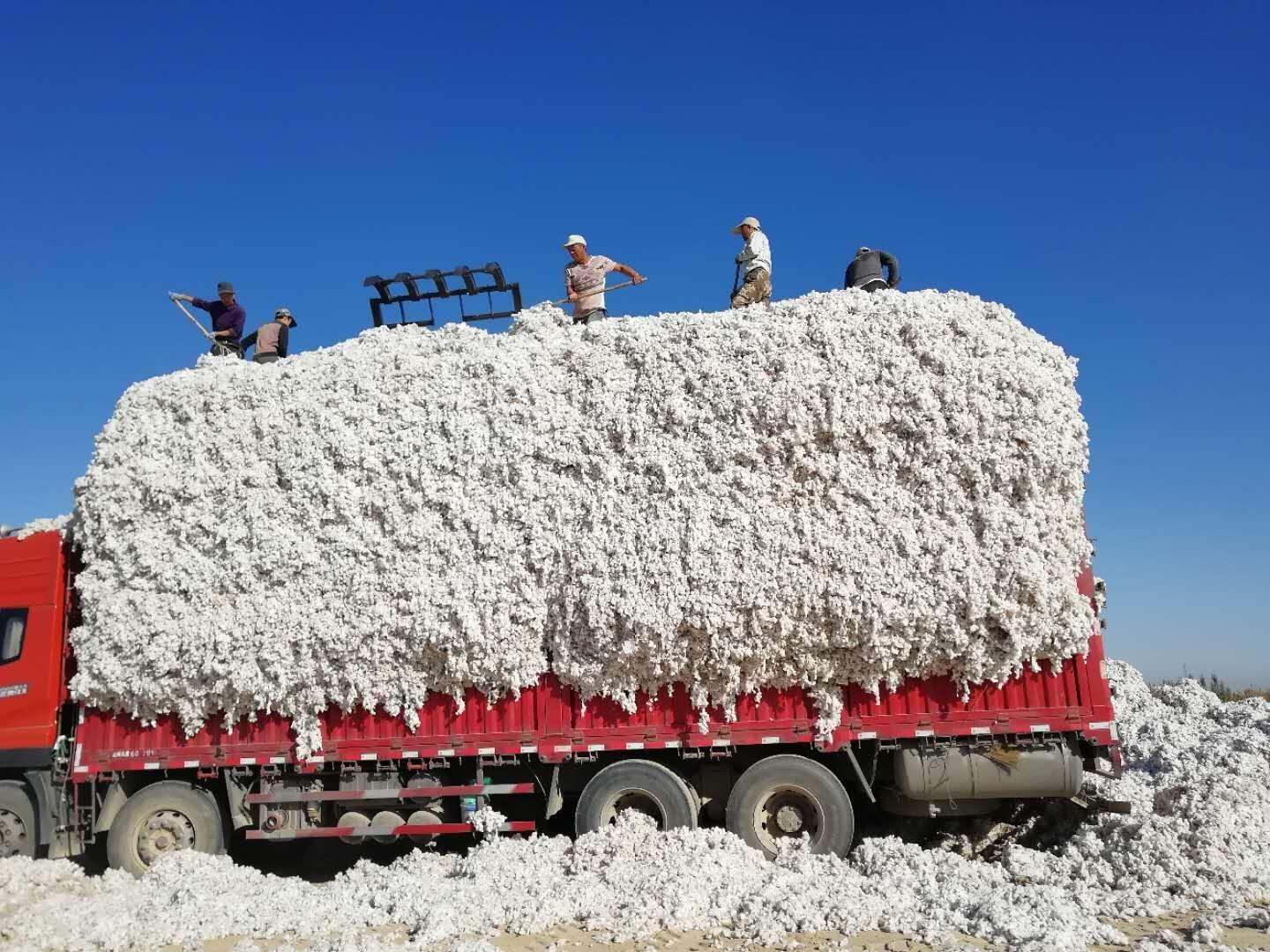 棉花垛下载，连接历史与文化的纽带