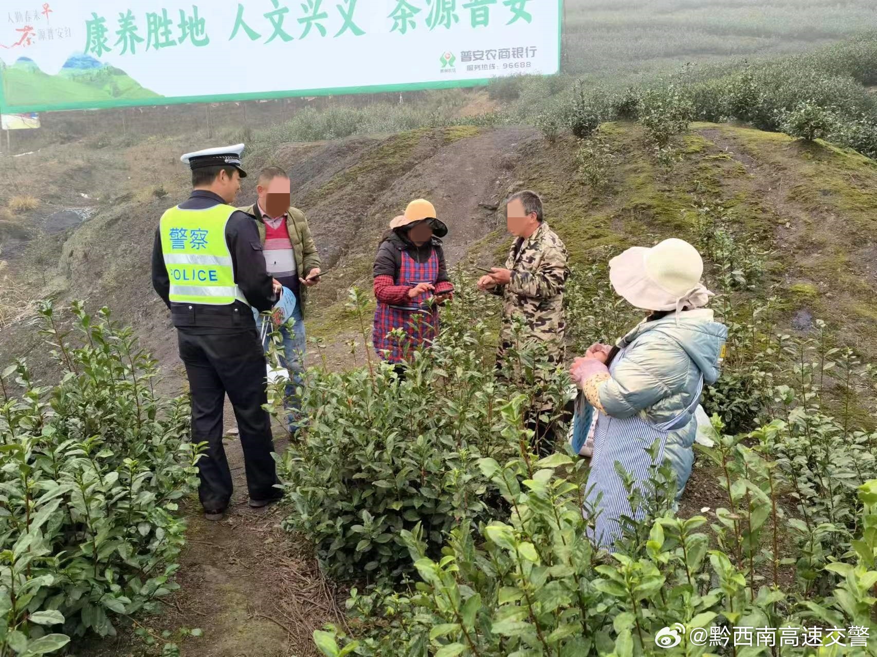 苦麦村交通新闻更新，乡村交通迈向现代化变革