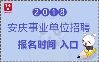 2024年12月11日 第7页