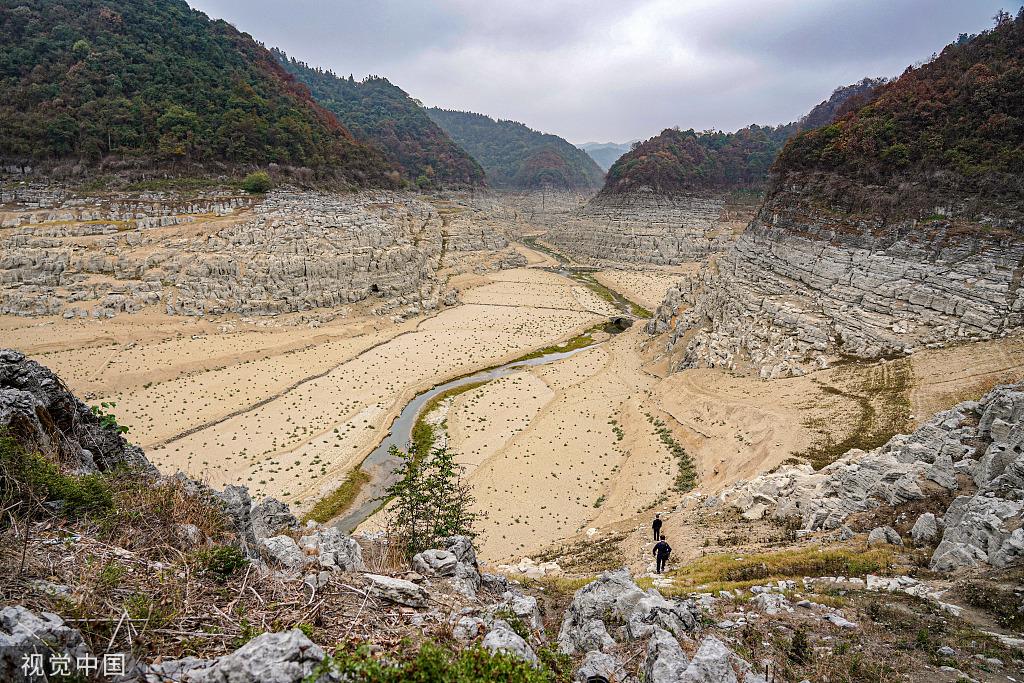 东山区统计局未来发展规划探索，助力区域腾飞