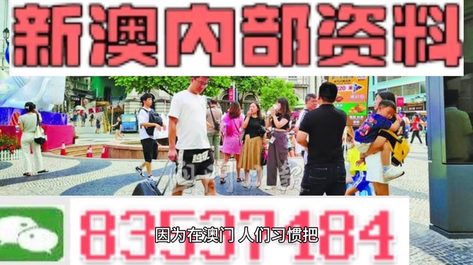 2024新澳精准资料免费,高效解读说明_VIP49.587