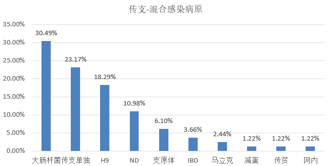 新澳门今天最新免费资料,市场趋势方案实施_ios3.283