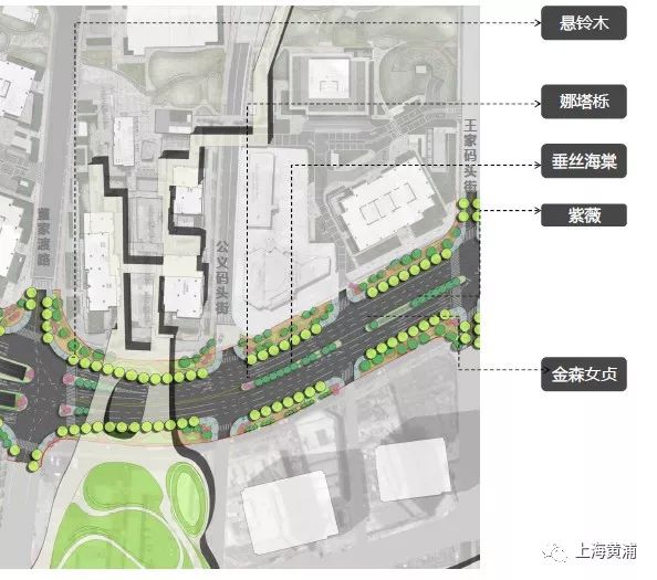 中山南路街道最新发展规划，塑造未来城市新面貌蓝图揭晓