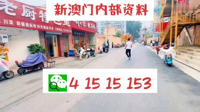 2024年澳门天天开好彩精准免费大全,广泛的解释落实支持计划_黄金版3.236