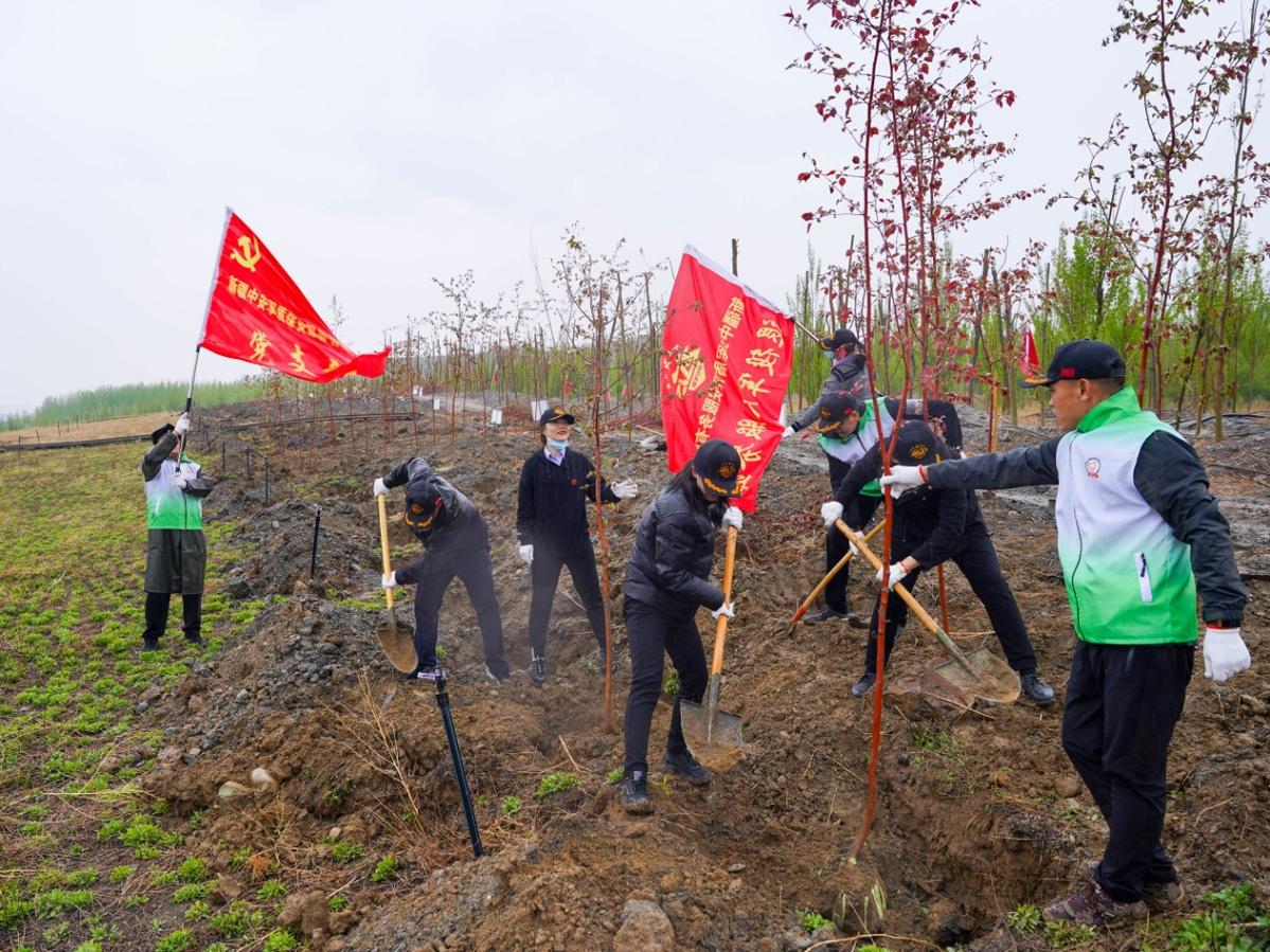 山河村民委员会重塑乡村，迈向繁荣新篇章启动