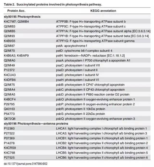 新澳天天开奖资料大全最新5,系统化评估说明_Superior79.92