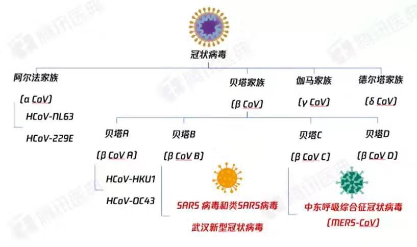 2024新澳免费资料成语平特,数据支持设计解析_豪华款40.610