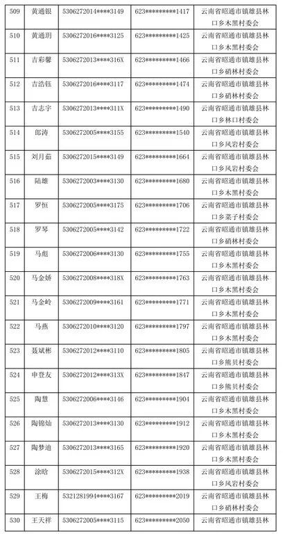 镇雄县数据和政务服务局人事任命动态深度解析