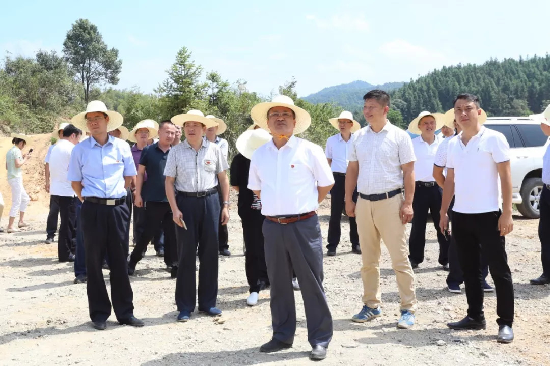 贡珠村新任领导，引领乡村繁荣的领航者