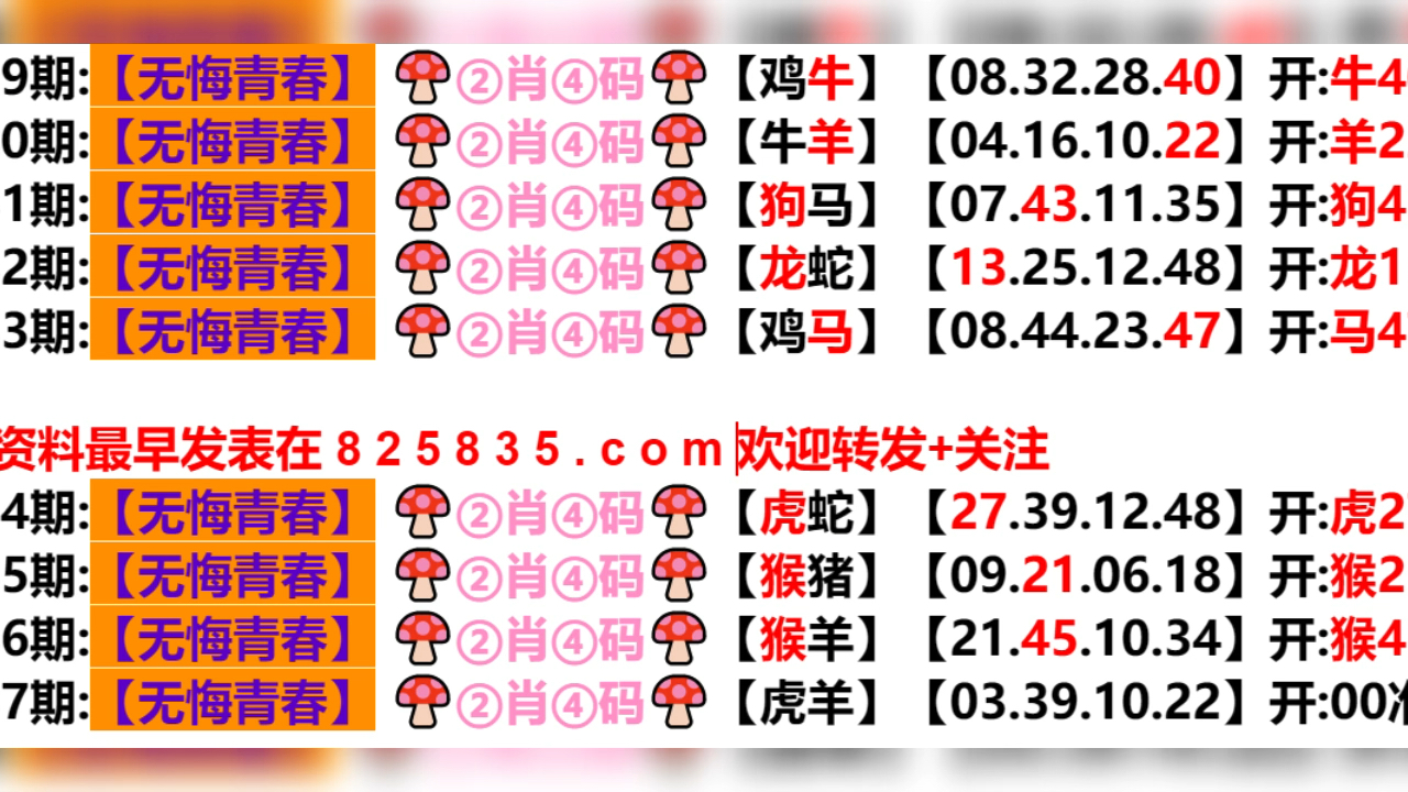 2024新奥历史开奖结果查询澳门六,全面分析解释定义_X53.626