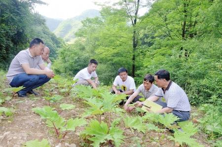 贾家坝村委会领导最新概览