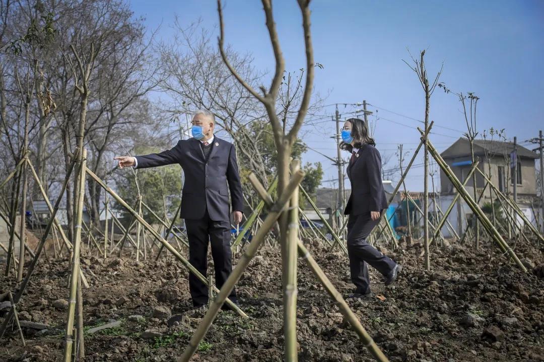 仪征市水利局招聘信息发布与职业机会深度探索