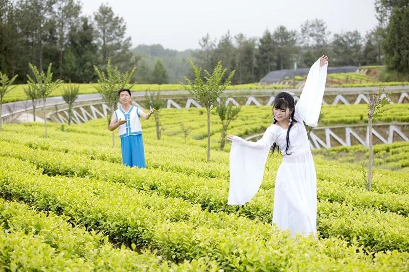 才朋村领导引领村庄开启新篇章