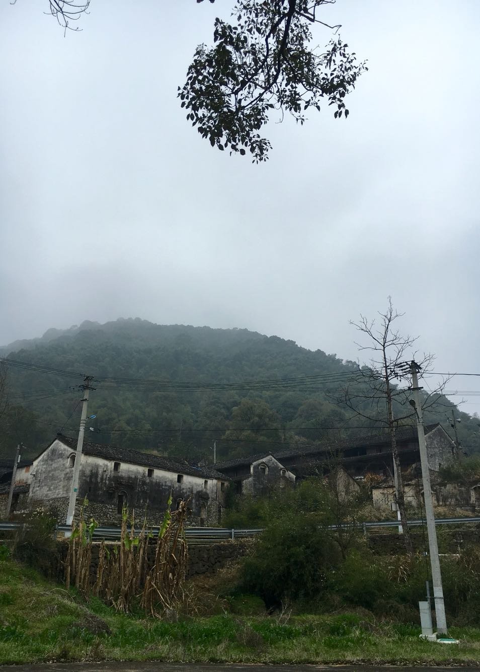 木门镇天气预报更新通知