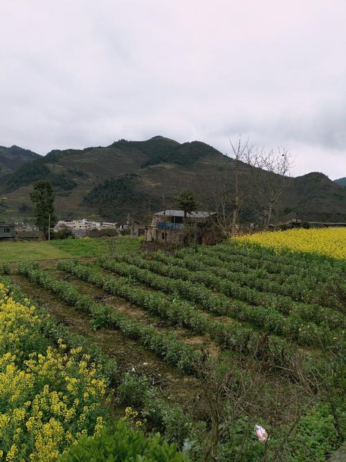 濠村乡天气预报更新通知