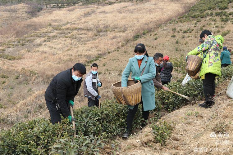 山阳区农业农村局最新发展规划概览