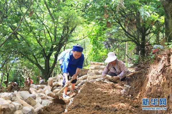 黔南布依族苗族自治州市扶贫开发领导小组办公室最新动态