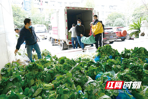 蔬菜社区新领导引领绿色革命，塑造健康生活方式